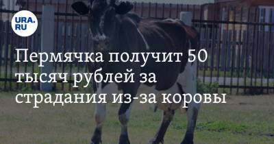 Пермячка получит 50 тысяч рублей за страдания из-за коровы