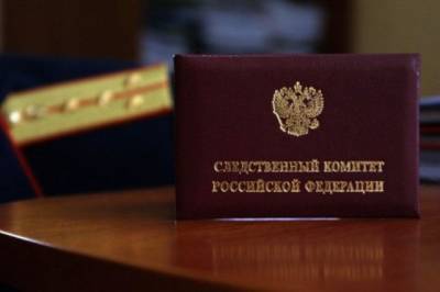 Глава СК РФ возбудил дело на судью Новосибирского областного суда