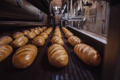 Мукомольные и хлебопекарные предприятия региона получат субсидии