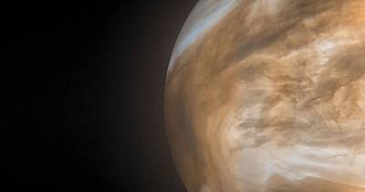 Никакой живности на Венере. Ученые приняли токсичный газ за признаки жизни на планете