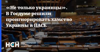 «Не только украинцы». В Госдуме решили проигнорировать хамство Украины в ПАСЕ