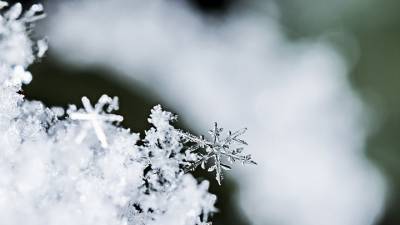 В Украину возвращается зима: какие регионы завалит снегом уже завтра