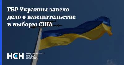 ГБР Украины завело дело о вмешательстве в выборы США