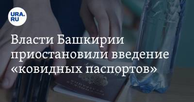 Власти Башкирии приостановили введение «ковидных паспортов»