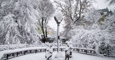 Снегопады не оставят Украину: прогноз погоды на пятницу, 29 января