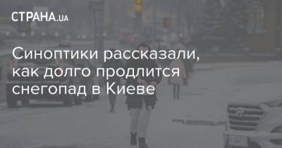Синоптики рассказали, как долго продлится снегопад в Киеве
