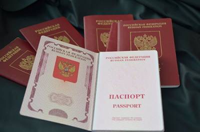 Российские паспорта в особом порядке получили свыше 400 тыс. жителей Донбасса