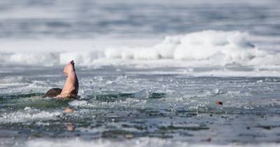 "Барахтался из последних сил": калининградец вытащил ребёнка, провалившегося под лёд на Верхнем озере