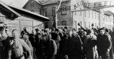 Отрицание Холокоста – почва для нацизма