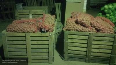 Разрешение на продажу некалиброванного картофеля снизит цены на 20%