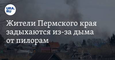 Жители Пермского края задыхаются из-за дыма от пилорам. «Как гриб в Хиросиме»
