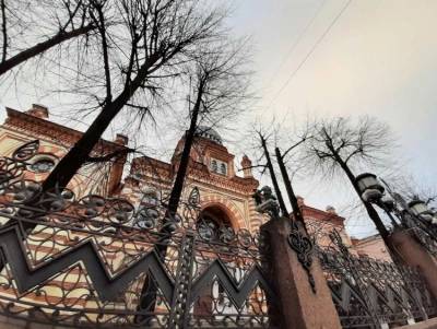 Еврейская община Петербурга просит прокуратуру проверить вебинар с отрицанием Холокоста