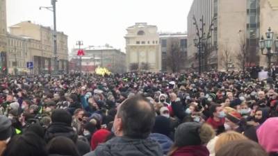 СК показал избивших правоохранителей участников незаконной акции в Москве