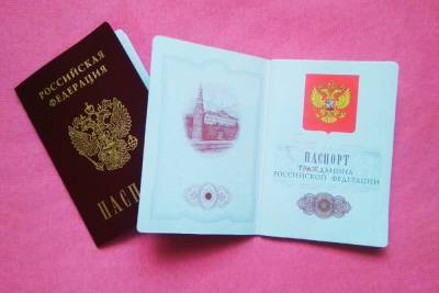 Минтранс ЛНР организовал почти 4000 поездок за российскими паспортами