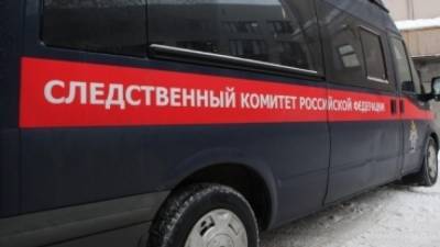 СК РФ опубликовал видео с допросом фигурантов дела о насилии к силовикам