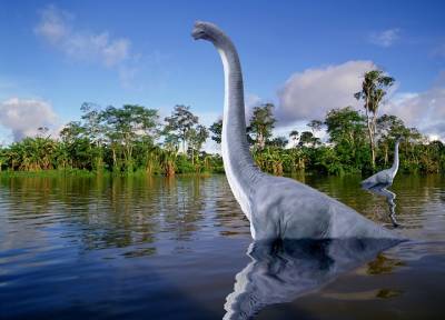 Весом не менее 60 тонн: в Аргентине найден самый большой динозавр на планете