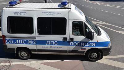 Полиция задержала петербуржца за нападение на силовиков 23 января