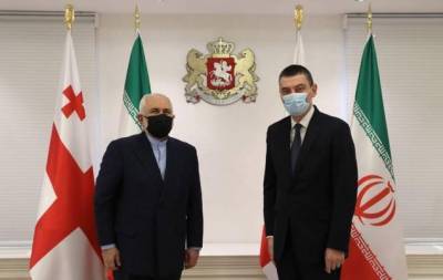 Гахария и Зариф обсудили развитие грузино-иранских отношений