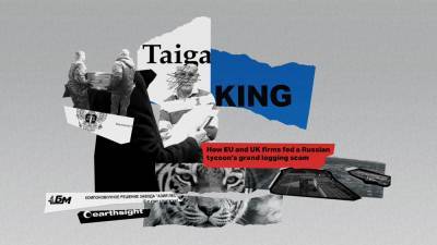 Король тайги и молчание Запада: как российский олигарх создал схему на миллиард долларов
