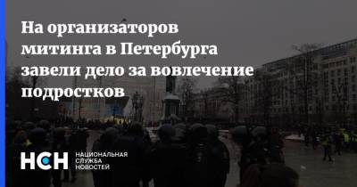 На организаторов митинга в Петербурга завели дело за вовлечение подростков