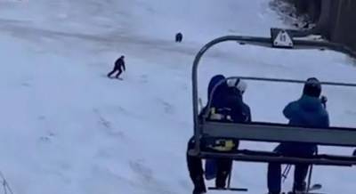 Лыжник показал чудеса скорости, спасаясь от погони разъяренного медведя (видео)
