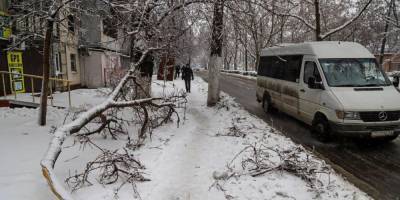 Во время сильных морозов. В Одессе хулиганы избивали бездомных в одном из пунктов обогрева, а затем пытались скрыться