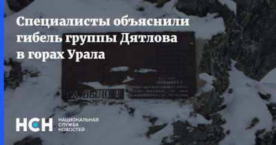 Специалисты объяснили гибель группы Дятлова в горах Урала