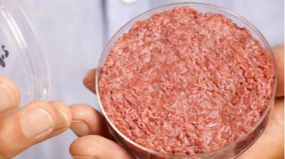 Казанский университет подготовит специалистов по созданию искусственного мяса