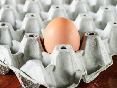 Минпромторг не будет фиксировать цены на яйца по аналогии с сахаром и маслом