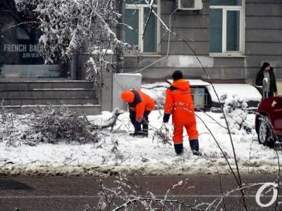 Снегопад по-одесски: россыпи веток и люди с лопатами (фоторепортаж)