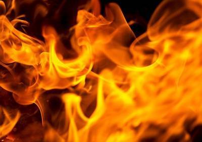 На пожаре в Путятинском районе погиб 49-летний мужчина