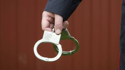 Полиция задержала мундепа Янкаускаса в Москве