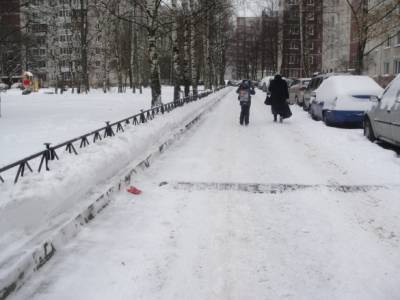 Снежная зима снова возвращается в Петербург