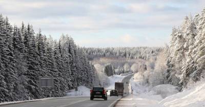 Синоптики обещают в Латвии морозы до -30 градусов