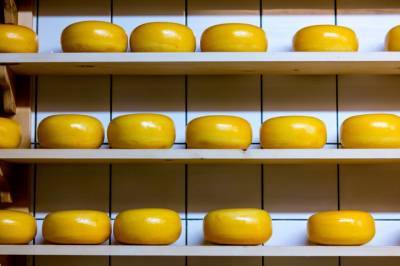 Импорт сыров в Украину вырос в два раза за год
