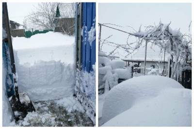 "Снега по пояс": в сети показали последствия непогоды в Одесской области, удивительные кадры