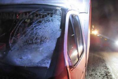 Пешеход попал в реанимацию после наезда ГАЗели в Чебоксарах