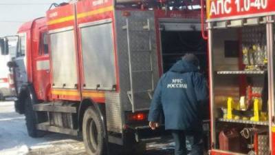 Две собаки погибли в результате пожара в севастопольском приюте
