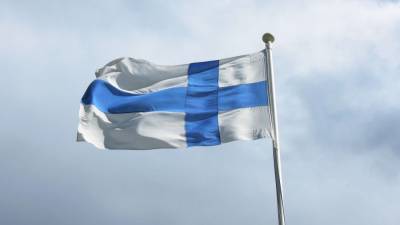 Планы Финляндии предусматривают отказ от российской электроэнергии