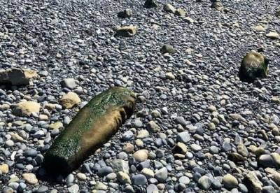 В Британской Колумбии нашли древний загадочный столб из камня