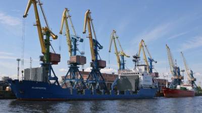 Морской порт Санкт-Петербурга в 2020г. увеличил обработку грузов на 5%