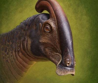 Учёные описали вид двух уникальных динозавров