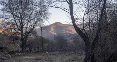 В Армении зарплаты лесников и лесничих повысятся – министр окружающей среды