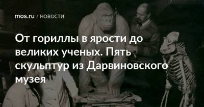 От гориллы в ярости до великих ученых. Пять скульптур из Дарвиновского музея