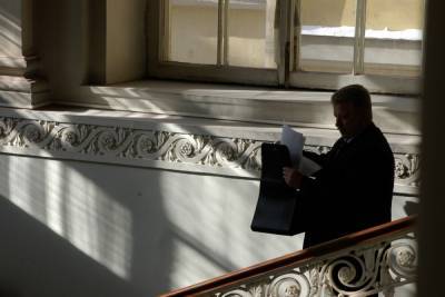 Петербургские депутаты поддержали законопроект о помощи самозанятым