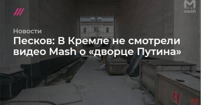 Песков: В Кремле не смотрели видео Mash о «дворце Путина»