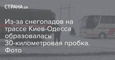Из-за снегопадов на трассе Киев-Одесса образовалась 30-километровая пробка. Фото