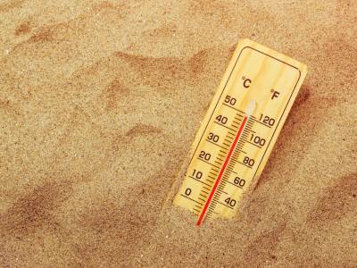 Среднегодовая температура на Земле сейчас самая высокая за последние 12 тыс. лет – исследование