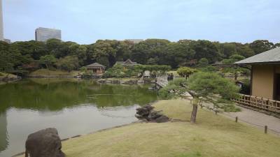 Токио: зеленая столица продолжает озеленение