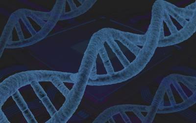 В геноме человека обнаружили новые гены, связанные с раком
